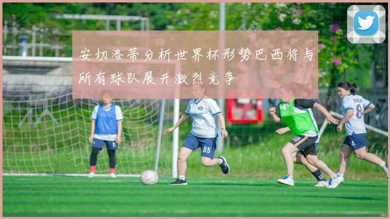 安切洛蒂分析世界杯形势巴西将与所有球队展开激烈竞争